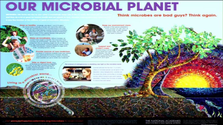 Why Liberals Love the Microbiome