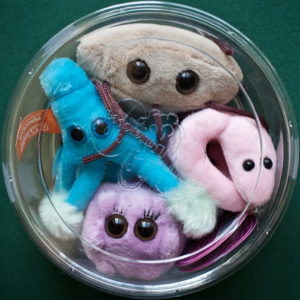 Can Microbes Give Gifts?