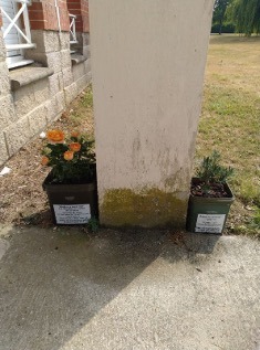 Two green planters, one holding orange roses, the other greenery, on either side of a pillar.